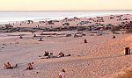 04-4WD owners on Cable Beach taking in the sunset